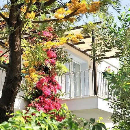 Satsuma Suites 3*